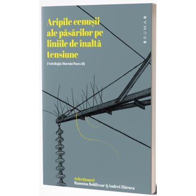 aripile cenuşii ale păsărilor pe liniile de înaltă tensiune, Antologia Mornin’ Poets II