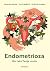 Endometrioza: Nie taka Twoja uroda