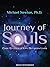 Journey of Souls by Michael   Newton