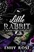 Little Rabbit (The Lost DeLuca Sisters Series)