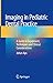 Imaging in Pediatric Dental Practice by Johan Aps