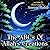 The ABC's of Allah's Creations by Ammar Habib
