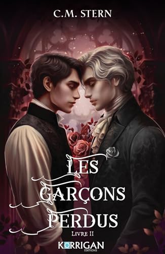 Les garçons perdus T2 (Paperback)