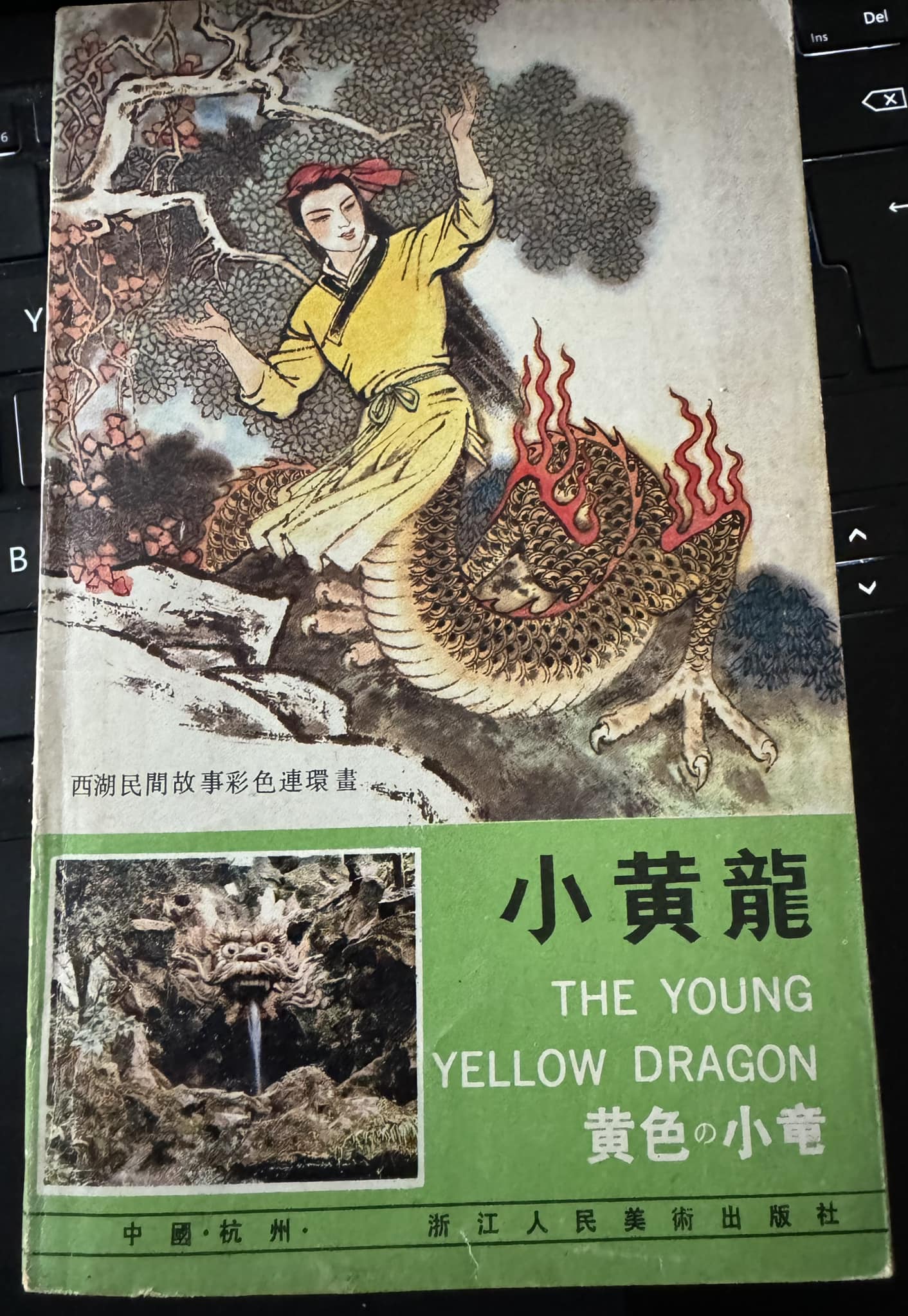 The young yellow dragon (Paperback)
