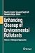Enhancing Cleanup of Enviro...