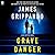 Grave Danger: A Jack Swyteck Novel (The Jack Swyteck Series)