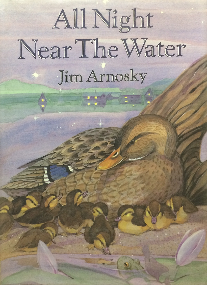 All Night Near the Water (Hardcover)