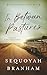 In Between Pastures (The Nora Kelly Series Book 2)