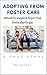 Adopting from Foster Care by Mitchel Lee