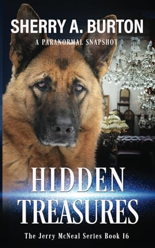Hidden Treasures: Book 16 in The Jerry McNeal series (A Paranormal Snapshot)
