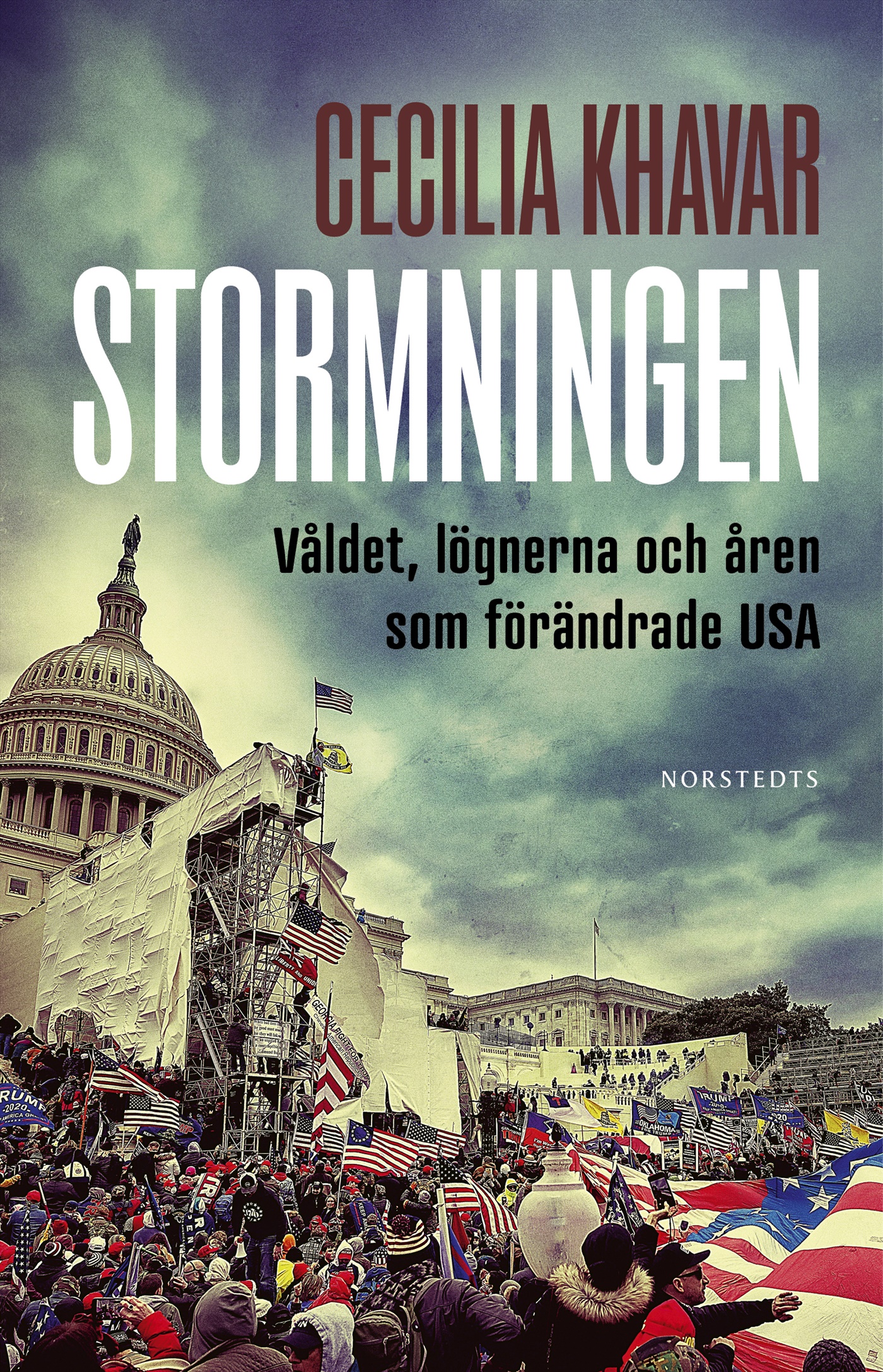 Stormningen : Våldet, lögnerna och åren som förändrade USA (Hardcover)