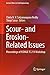 Scour- and Erosion-Related Issues: Proceedings of ISSMGE TC 213 Workshop (Lecture Notes in Civil Engineering Book 177)