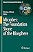 Microbes: The Foundation Stone of the Biosphere (Advances in Environmental Microbiology Book 8)