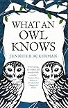 What an Owl Knows...
