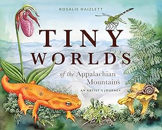 Tiny Worlds of the Appalachian Mountains: An Artist's Journey