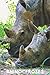 Rhinoceroses by Animal Glossy Notebook