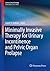 Minimally Invasive Therapy for Urinary Incontinence and Pelvi... by Gopal H. Badlani