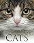 Encyclopedia of Cats (Encyclopedias)