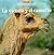 La vicuña y el camello by Parramón Paidotribo S.L.