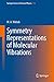 Symmetry Representations of Molecular Vibrations (Springer Series in Chemical Physics Book 126)