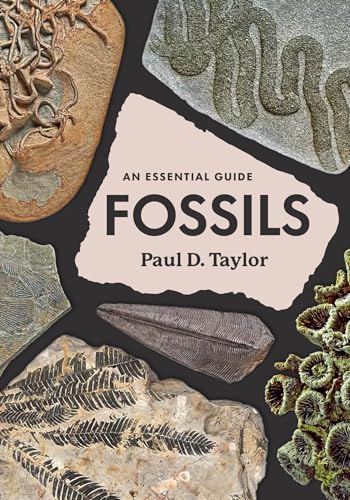 Fossils: An Essential Guide (Hardcover)