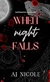 When Night Falls