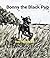Bonny the Black Pup: A Labr...