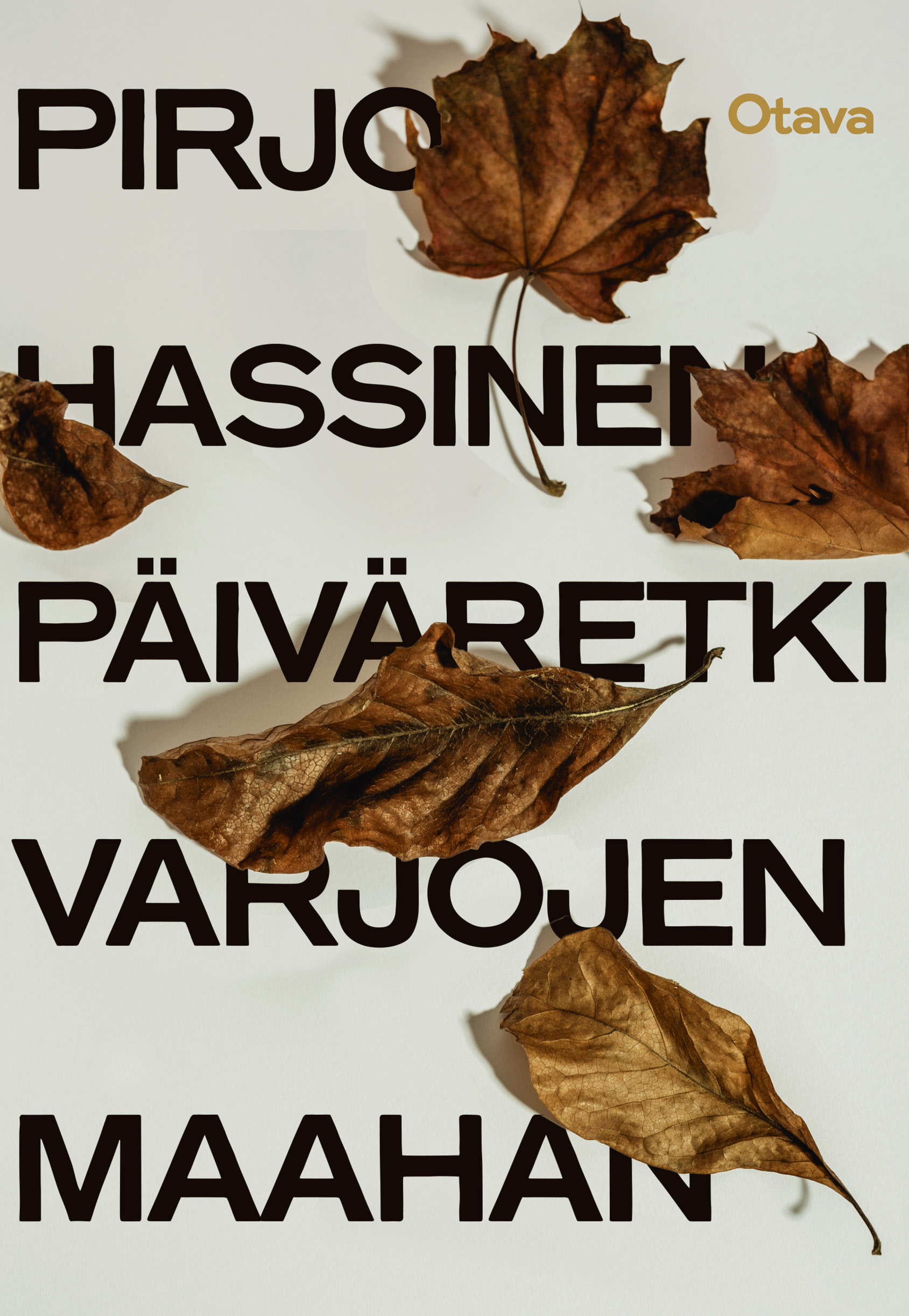 Päiväretki varjojen maahan (Hardcover)