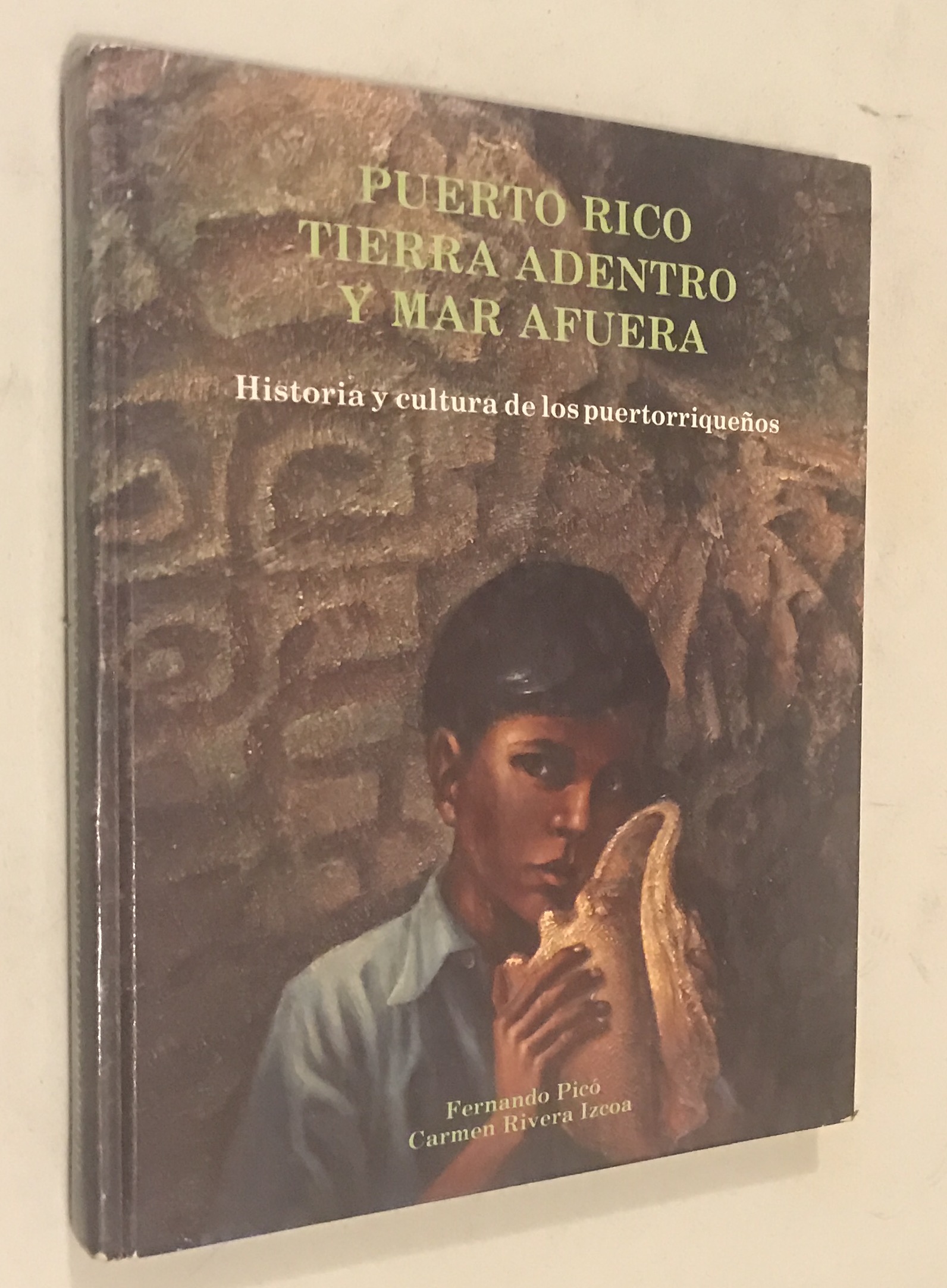 Puerto Rico, tierra adentro y mar afuera: Historia y cultura de los puertorriqueños