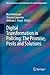 Digital Transformation in Policing: The Promise, Perils and Solutions (Advanced Sciences and Technologies for Security Applications)