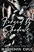 Forged by Shadows: Shadowed Souls Book One