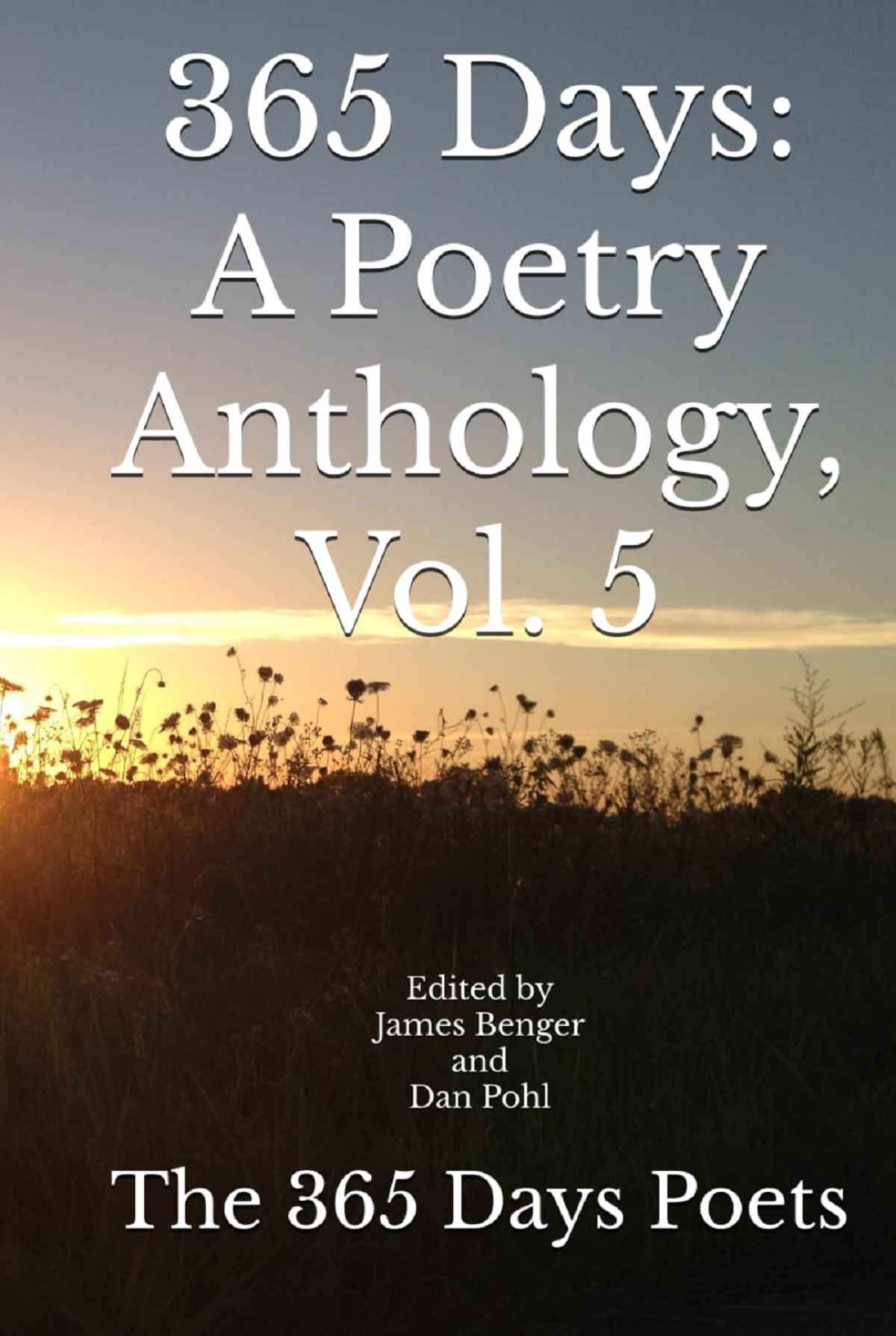 365 Days: A Poetry Anthology, Vol. 5