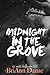 Midnight In The Grove (Holiday Shorts Book 2)
