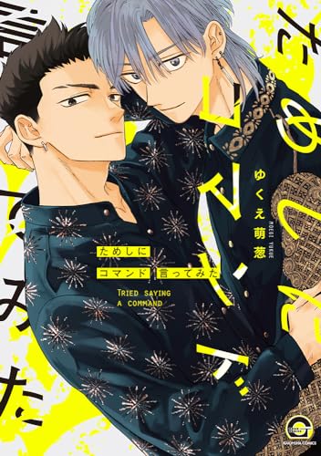 ためしにコマンド言ってみた (Paperback)