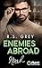 Enemies abroad (Handsome Heroes 6) (German Edition)