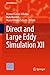 Direct and Large Eddy Simulation XII (ERCOFTAC Series Book 27)