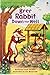 Brer Rabbit Down the Well (Usborne First Reading Level 2)