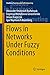 Flows in Networks Under Fuz...