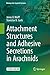 Attachment Structures and Adhesive Secretions in Arachnids by Jonas O. Wolff