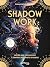 Shadow work : notre âme nou...