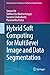 Hybrid Soft Computing for Multilevel Image and Data Segmentation (Computational Intelligence Methods and Applications)