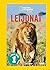 National Geographic - Leijonat