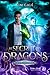 Le secret des Dragons: Hunter Vieusang #2 (French Edition)