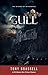 Gull: Witches of Witherwack - Book Three