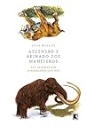 Ascensão e reinad...