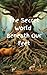 The Secret World Beneath Our Feet by Alicia Sciple