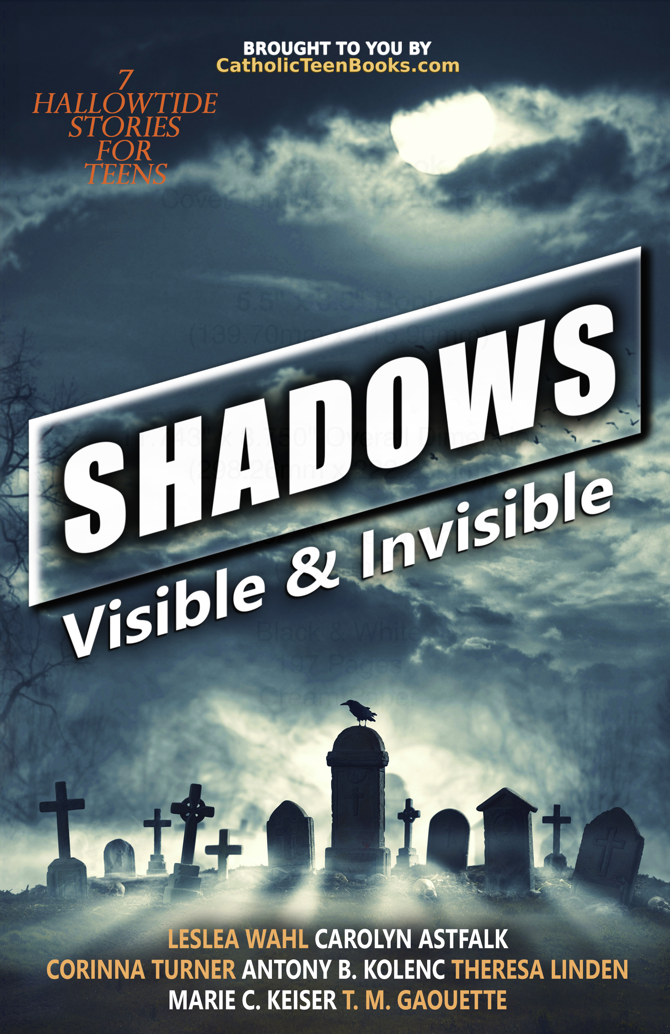 Shadows: Visible & Invisible (Visible & Invisible #5)