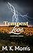 Tempest Love: A Small Town ...