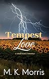 Tempest Love: A Small Town Romance