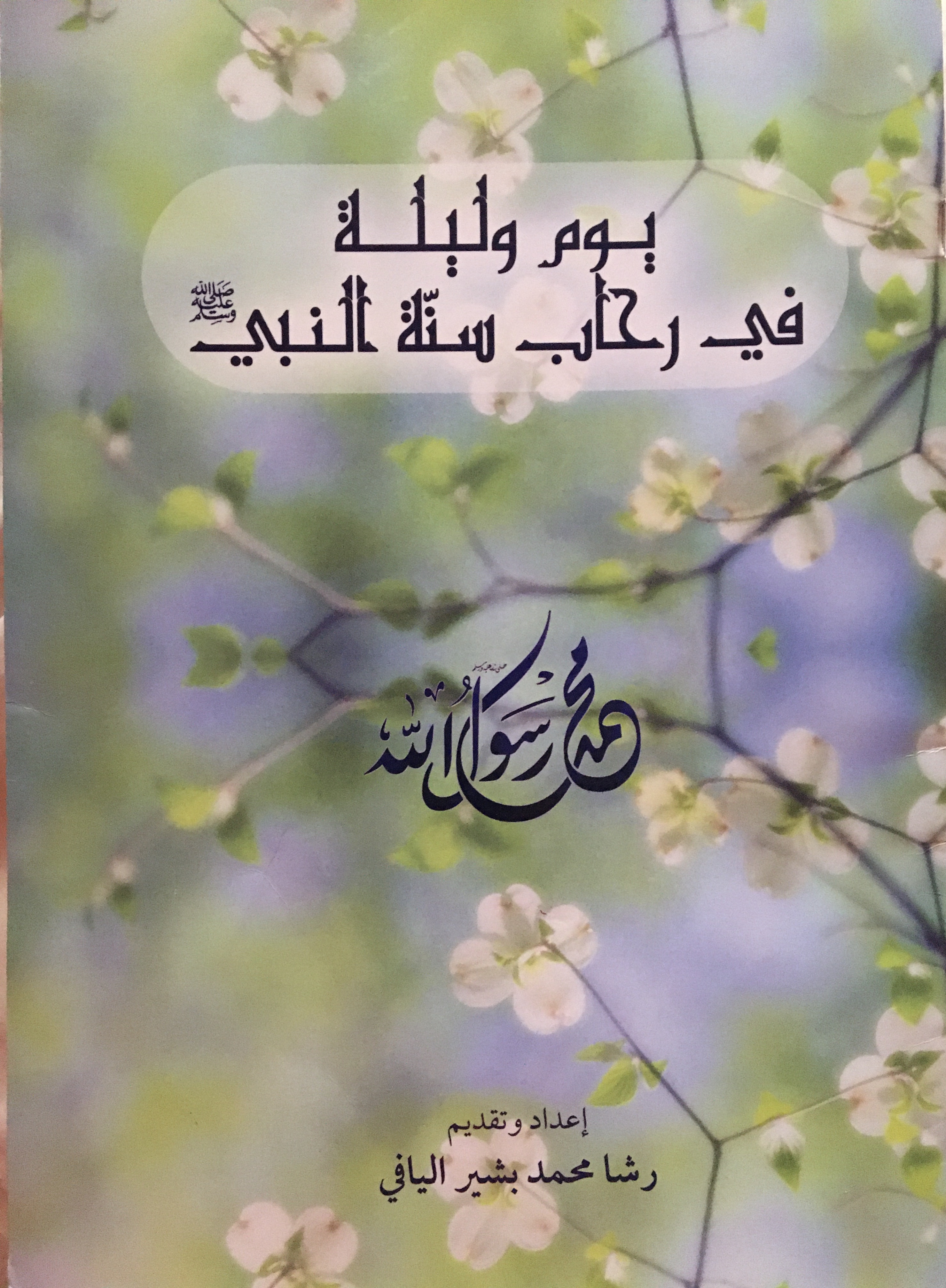 يوم وليلة في رحاب سنة النبي (Hardcover)